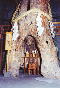 山梨で有名 子宝神社スポット 夫婦木神社 へいってきました 感想とまとめ 都内在住アラサーの妊活blog